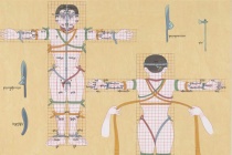 藏医的发展历史