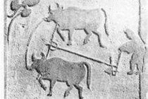 东汉的农业经济发展