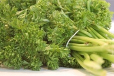 唐朝有哪些外国食物