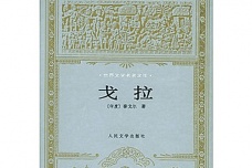 《戈拉》作品内容简介
