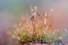 寒露时节怎么养生