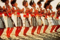 达悟人是哪里的