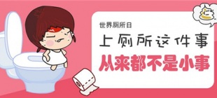 2013年11月9日：世界厕所日诞生