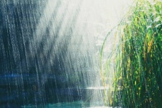 清明时节的气候特点