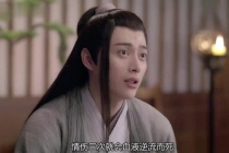 《琉璃》柳意欢为何出卖禹司凤