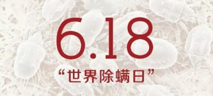 2015年6月18日：世界除螨日