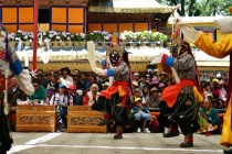 雪顿节的节日习俗都有哪些