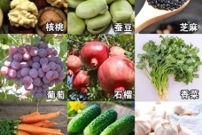 张骞出使西域带回来哪些农作物