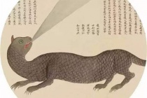 山海经中真实存在的动物鼍