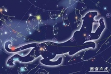 参水猿星宿简介