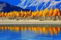 西藏的自然资源有多丰富