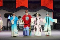 石家庄市评剧院概述