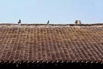 秦砖汉瓦的故事