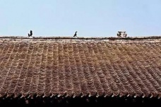 秦砖汉瓦的故事