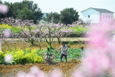 春分的气候特点对农业的影响