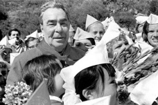 勃列日涅夫改革的特点是什么