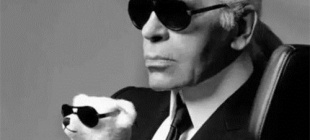 2019年2月19日：卡尔·拉格斐逝世