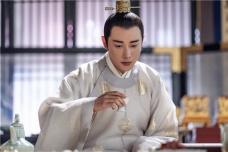 杨炯的仕途经历