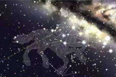 氐土貉星宿介绍
