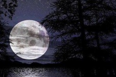 《蝶恋花·辛苦最怜天上月》赏析