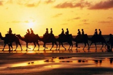 丝绸之路开辟于什么朝代