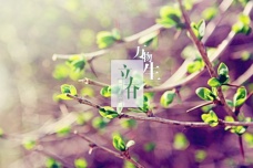 立春养生要怎么做