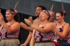 波利尼西亚人是什么人种