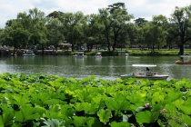 如意洲与月色江声