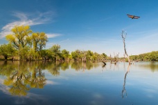 伏伊伏丁那在哪里