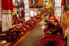 哲蚌寺历史发展介绍