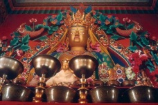 本教分为哪两类