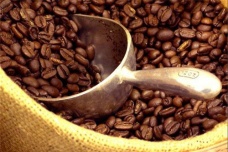 巴西特产咖啡介绍