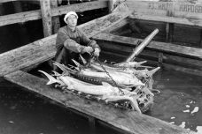 苏联的鱼子酱与法国的有什么区别