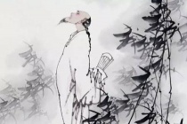 扬州八怪郑板桥的传奇故事