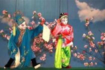 合阳线戏是什么