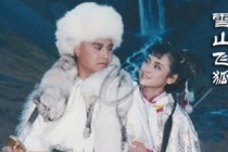 金庸《雪山飞狐》内容简介