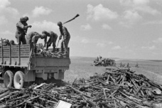 突尼斯会战：隆美尔的离别之战