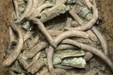 三星堆可能与哪些区域文明之间存在联系