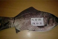 秦末大泽乡起义