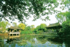 沈园：陆游和唐婉的“情侣园”