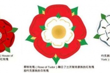 亨利·都铎生平简介