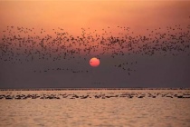 古代海昏国在哪里