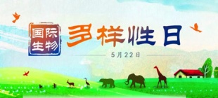 2001年5月22日：国际生物多样性日