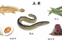 端午节吃五黄的食俗