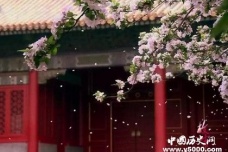 故宫工作人员每日大喊几声的原因