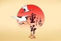 重阳节的相关诗词