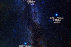 织女星介绍及历史记载