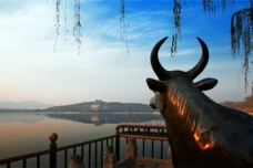 颐和园铜牛的历史经历