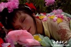 红楼梦史湘云人物形象分析