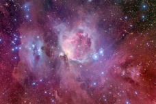 觜火猴星宿介绍